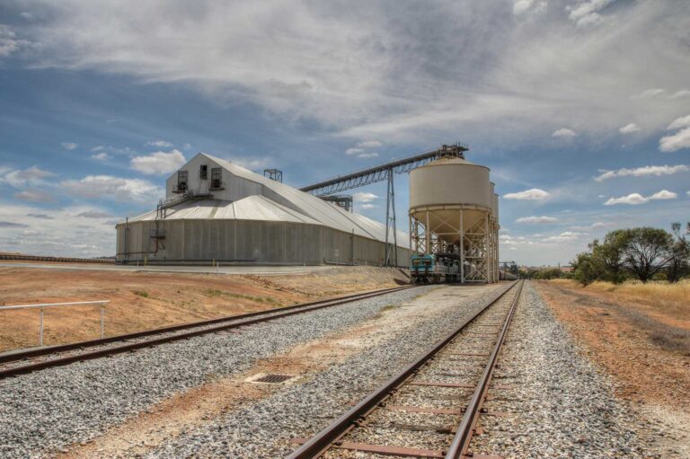 Train at agricultural loading station